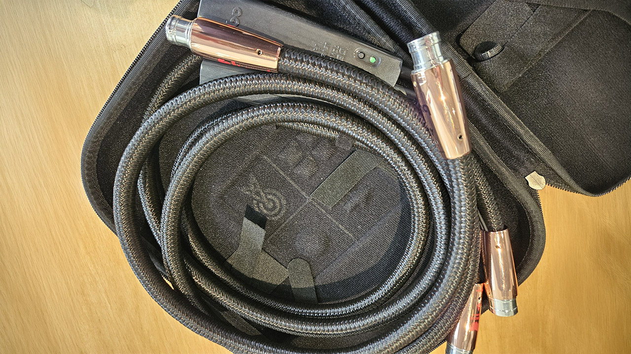 AUDIOQUEST Pegasus XTRm