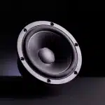 DYNAUDIO Legend